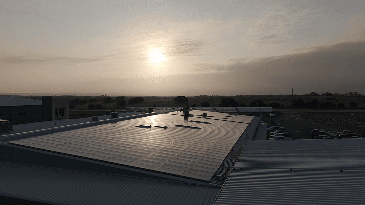 Commercial solar array photographed in the morning light.